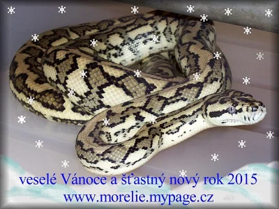 Hezké prožití Vánoc